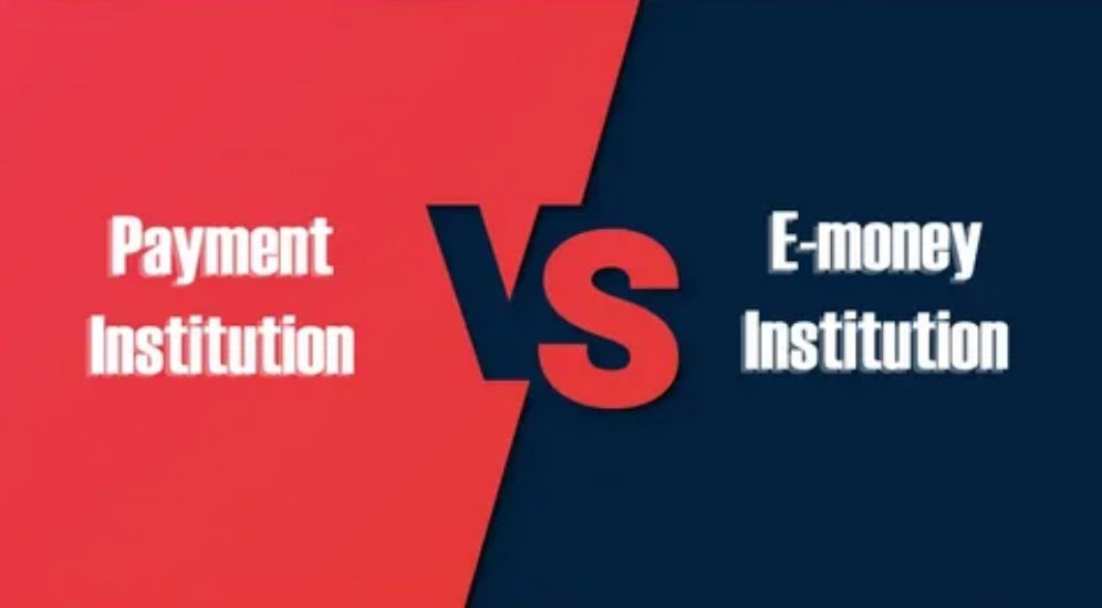 Payment Institution and Electronic Money Institution
