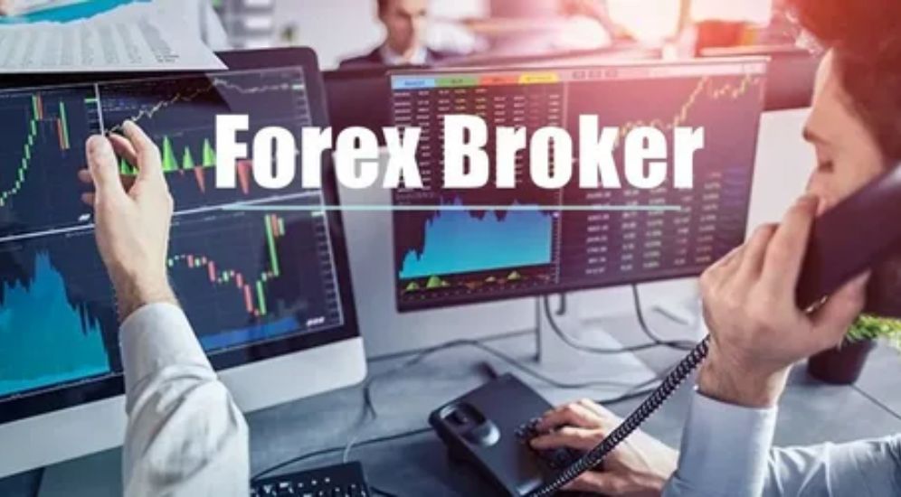 Dominica Offshore Bank License