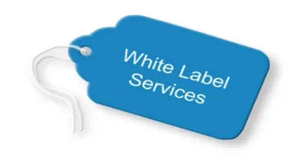 Business team discussing white label strategy to grow brand
